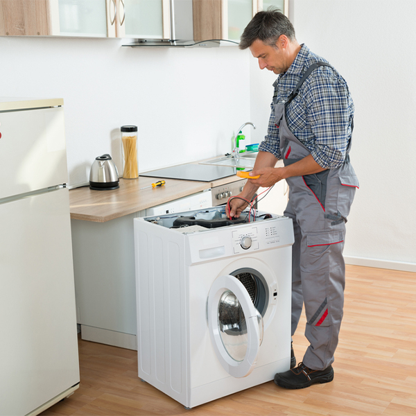 what are common issues that can arise with a washer in Blackman Michigan